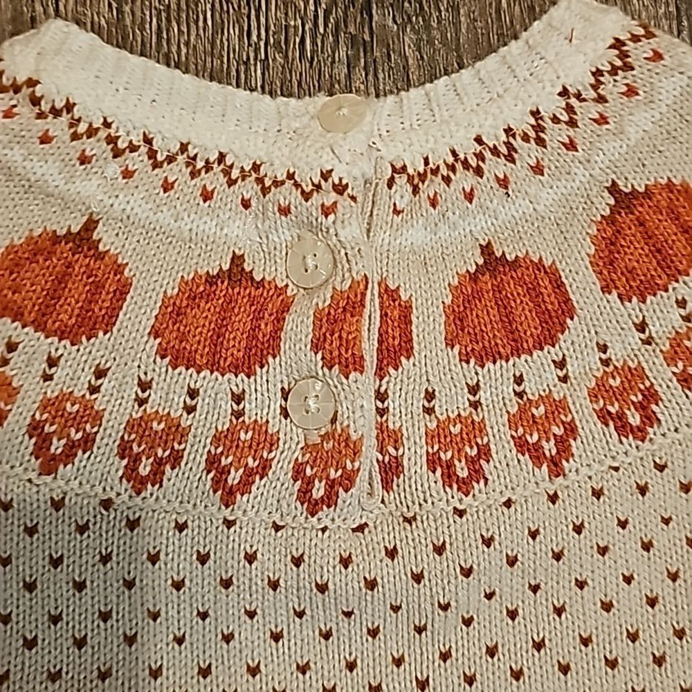 Perfect Fall Toddler dress - Picture 6 of 6